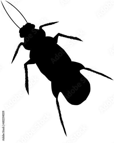 cockroach silhouette