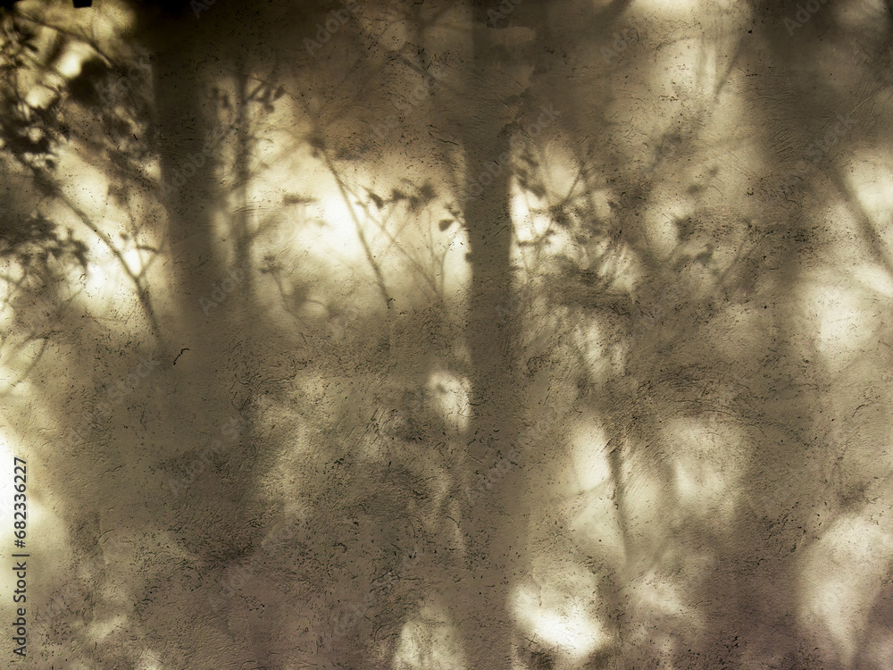 Obraz premium The light of the sunset casts the shadows of some trees on a concrete wall in a farm near the colonial town of Villa de Leyva in central Colombia.
