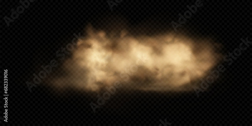 Sand cloud with dust isolated on transparent background. Desert storm, sandstorm. Brown dusty cloud or dry sand flying. Realistic vector illustration