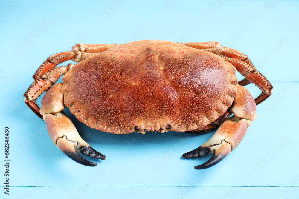 Delicious boiled crab on light blue wooden table, closeup Delicious boiled crab on light blue wooden table, closeup