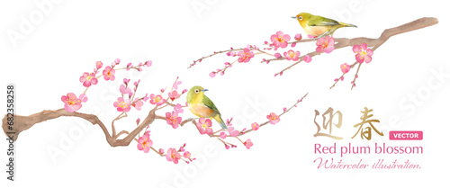 早春の花：梅の花とメジロの水彩イラスト。紅梅と小鳥。日本文化。（ベクター。レイアウト変更可能） photo