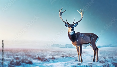 Male deer with big beautiful horns during winter on the field, macro photo. Christmas concept. Happy new year.   © adobedesigner