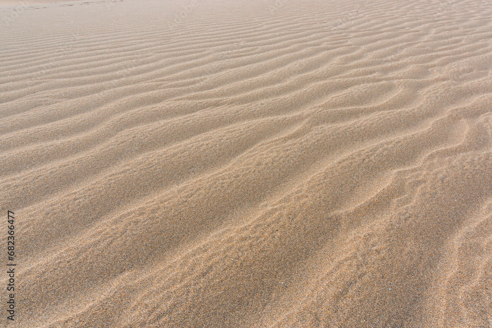 Gran Canaria Maspalomas. Shot from the Dunes with Sand and Sun and the Beach. Gran Canaria Maspalomas. Shot from the Dunes with Sand and Sun and the Beach.