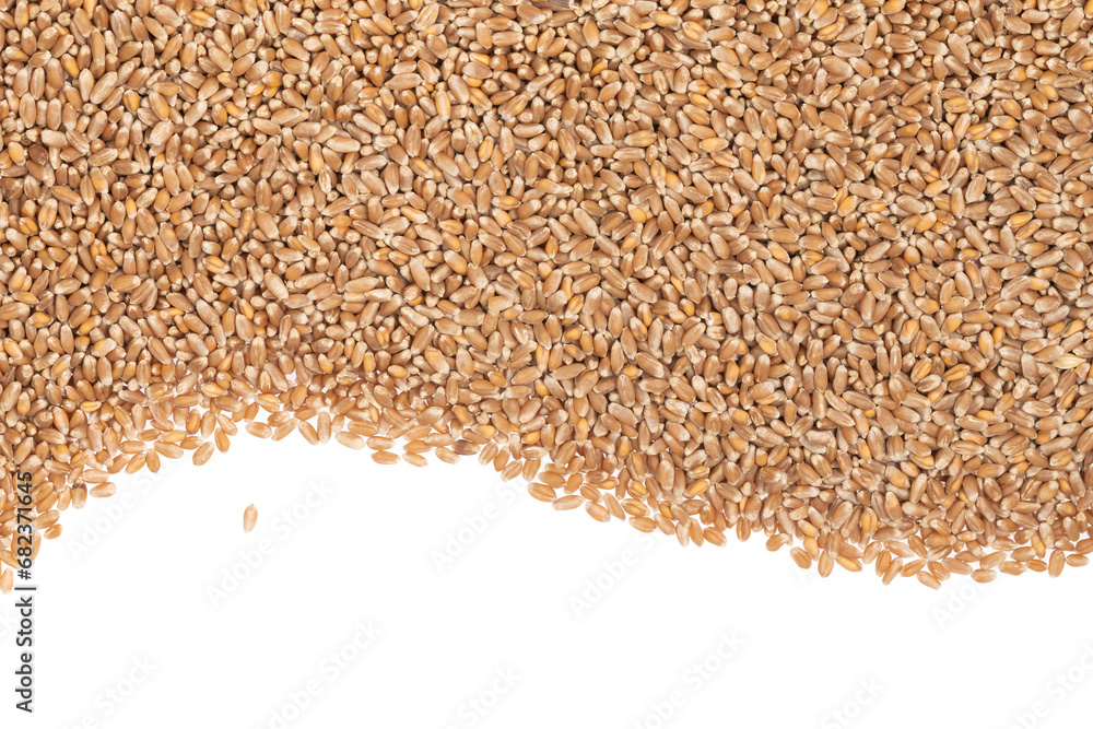 Obraz premium Grains of brown wheat isolated on white background. close up wheat seeds texture