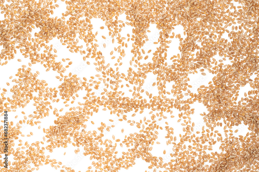 Grains of brown wheat isolated on white background. close up wheat seeds texture Grains of brown wheat isolated on white background. close up wheat seeds texture