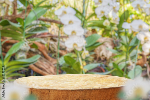 Empty old tree stump table top with blur orchid garden background for product display