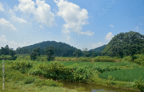 Rugged  undulating vast landscape interspersed with lush green agricultural fields in Jungle Mahal  forest  region of Purulia  West Bengal. This region is known for its exquisite natural beauty.