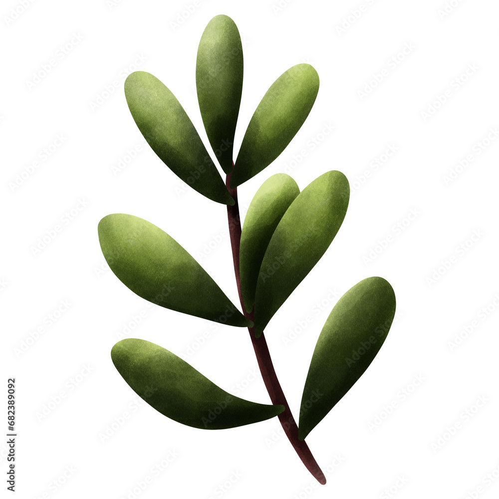 Naklejka premium green leaves isolated on white background