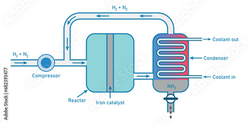 The Haber process. Scientific resources for teachers and students.