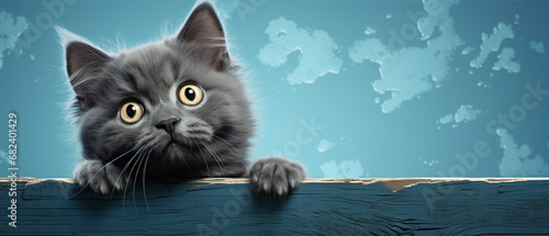 Katzenliebe: Niedliche graue Katze im Porträt