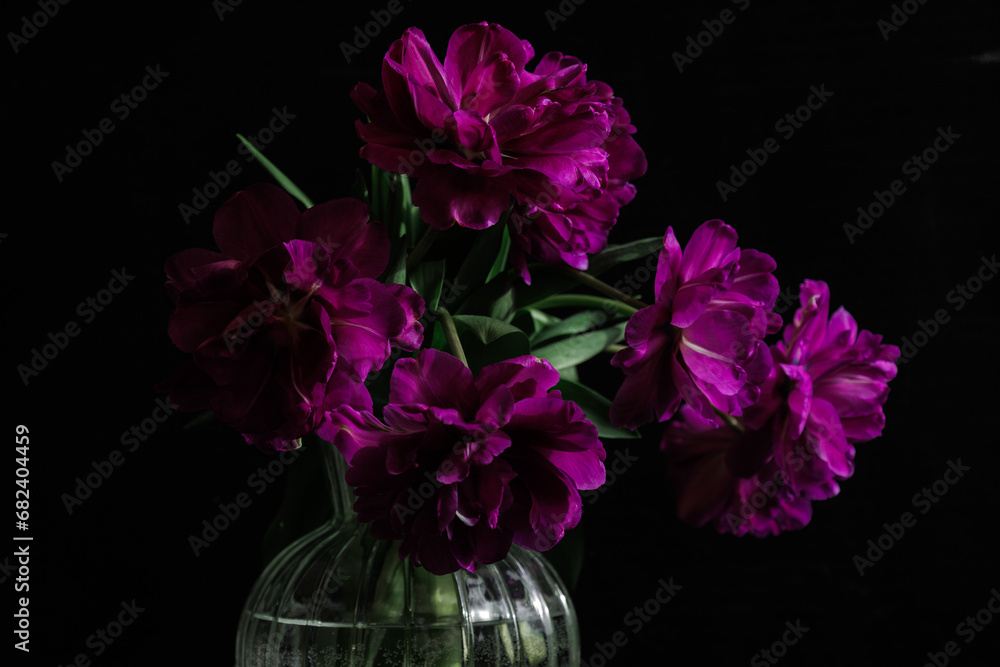 bouquet of dark red lilac tulips in glass vase on dark background. flower bouquet in vase on table. Gift interior decoration. florist, decorator. Flower shop. bouquet of dark red lilac tulips in glass vase on dark background. flower bouquet in vase on table. Gift interior decoration. florist, decorator. Flower shop.