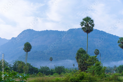 gods own country kerala india nature 