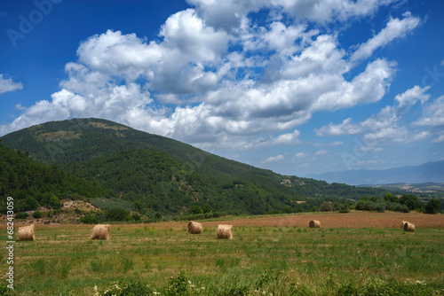 Rural landscape in Umbria near Spoleto © Claudio Colombo
