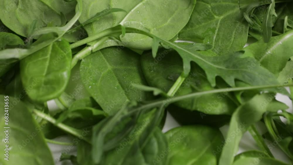 spinach arugula leaves for salad on light surface spinach arugula leaves for salad on light surface