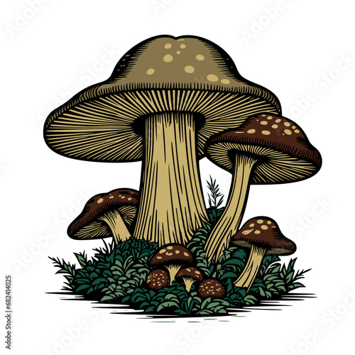 Vector, mushrooms with grass and plants in vintage style, woodcut, colorized.