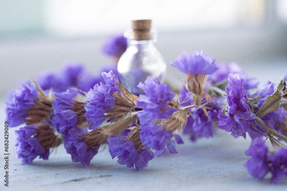 purple flower and glass bottles with perfume
purple flower and glass bottles with perfume