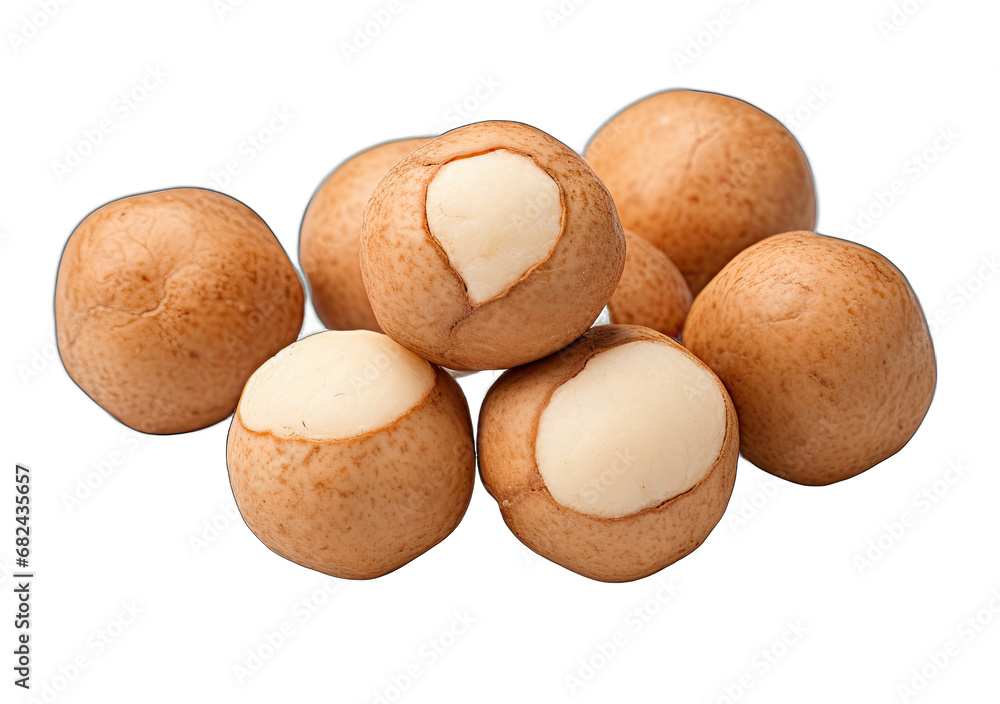 the Nutty Code: Beautiful Nuts on a Clear Canvas the Nutty Code: Beautiful Nuts on a Clear Canvas