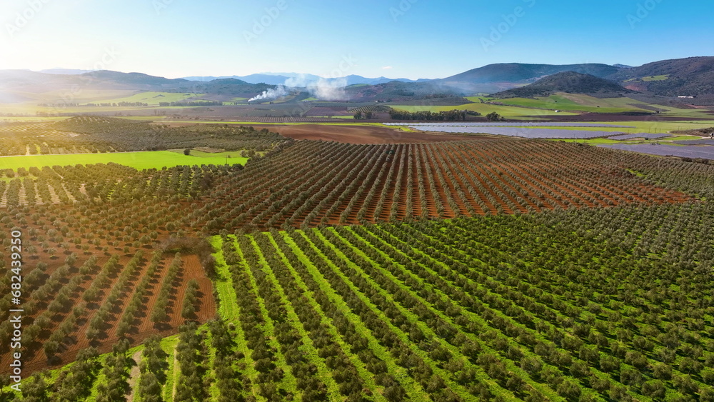 Flying over green spring hills with fiel. Andalusia, south Spain.