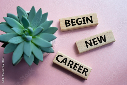 Begin new career symbol. Concept word Begin new career on wooden blocks. Beautiful pink background with succulent plant. Business and Begin new career concept. Copy space