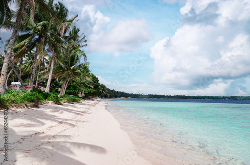 Tropical white sand beach with coconut palm trees. Siarga, Philippines.