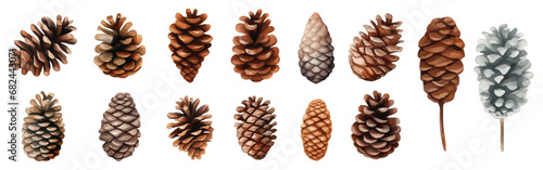 Watercolor Pine Cone Illustration Collection photo