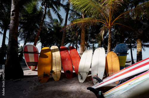 The set of surfboards in the tropical rental.