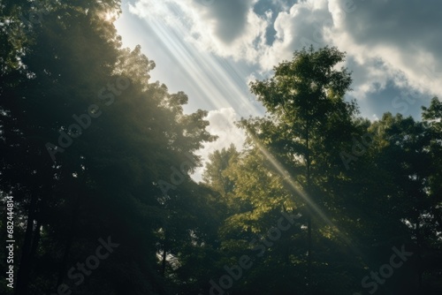 A captivating image of sunlight breaking through the clouds and illuminating the trees. Perfect for nature and landscape themes