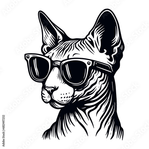 sphynx cat wearing cool sunglasses sketch