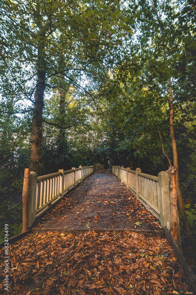 Autumn sunset in Rozentuin Park on the outskirts of Kortrijk. A white painted wooden bridge in the jungle. Flanders Belgium Autumn sunset in Rozentuin Park on the outskirts of Kortrijk. A white painted wooden bridge in the jungle. Flanders Belgium