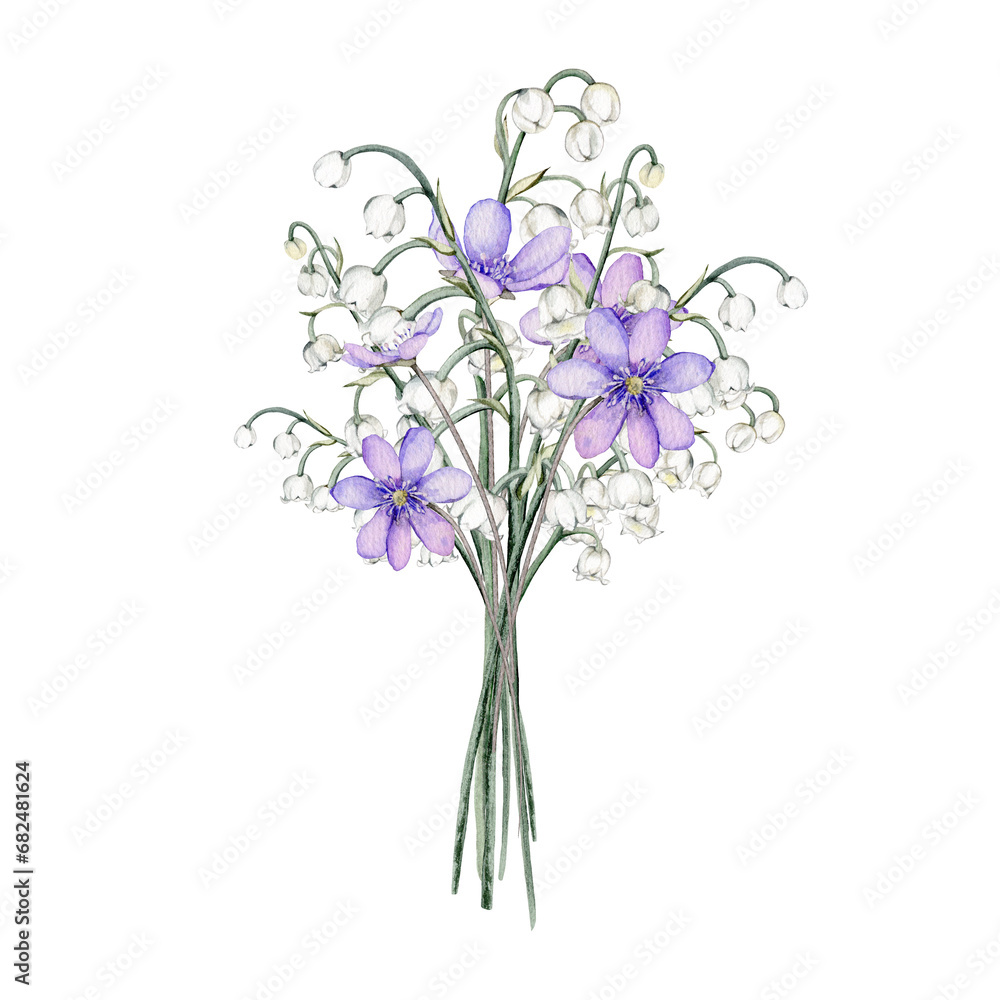 Watercolor first spring flowers. Coppice and llily of the valley delicate lilac and white flowers. Hand drawn illustration isolated background. Clipart botanical painting. Design for postcard