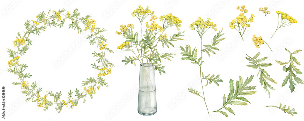 Watercolor common tansy. Set of yellow field flowers and wreath. Bouquet with glass vase. Hand drawn illustration isolated on white background. Bundle botanical medicinal wildflowers clipart. Elements - obrazy, fototapety, plakaty 