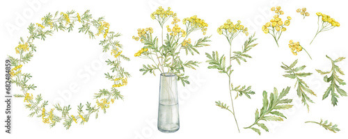 Watercolor common tansy. Set of yellow field flowers and wreath. Bouquet with glass vase. Hand drawn illustration isolated on white background. Bundle botanical medicinal wildflowers clipart. Elements photo