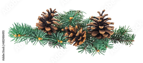 Green branches of a Christmas tree with pine cones isolated on a white background. photo