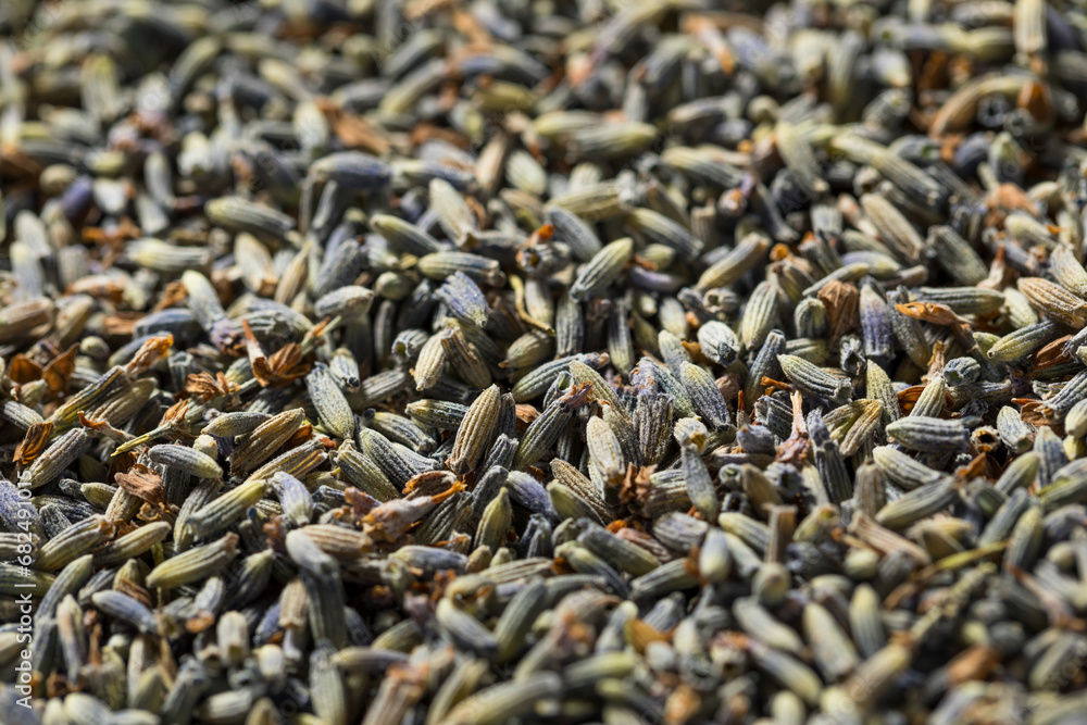 Raw Purple Organic Dry Lavender Raw Purple Organic Dry Lavender