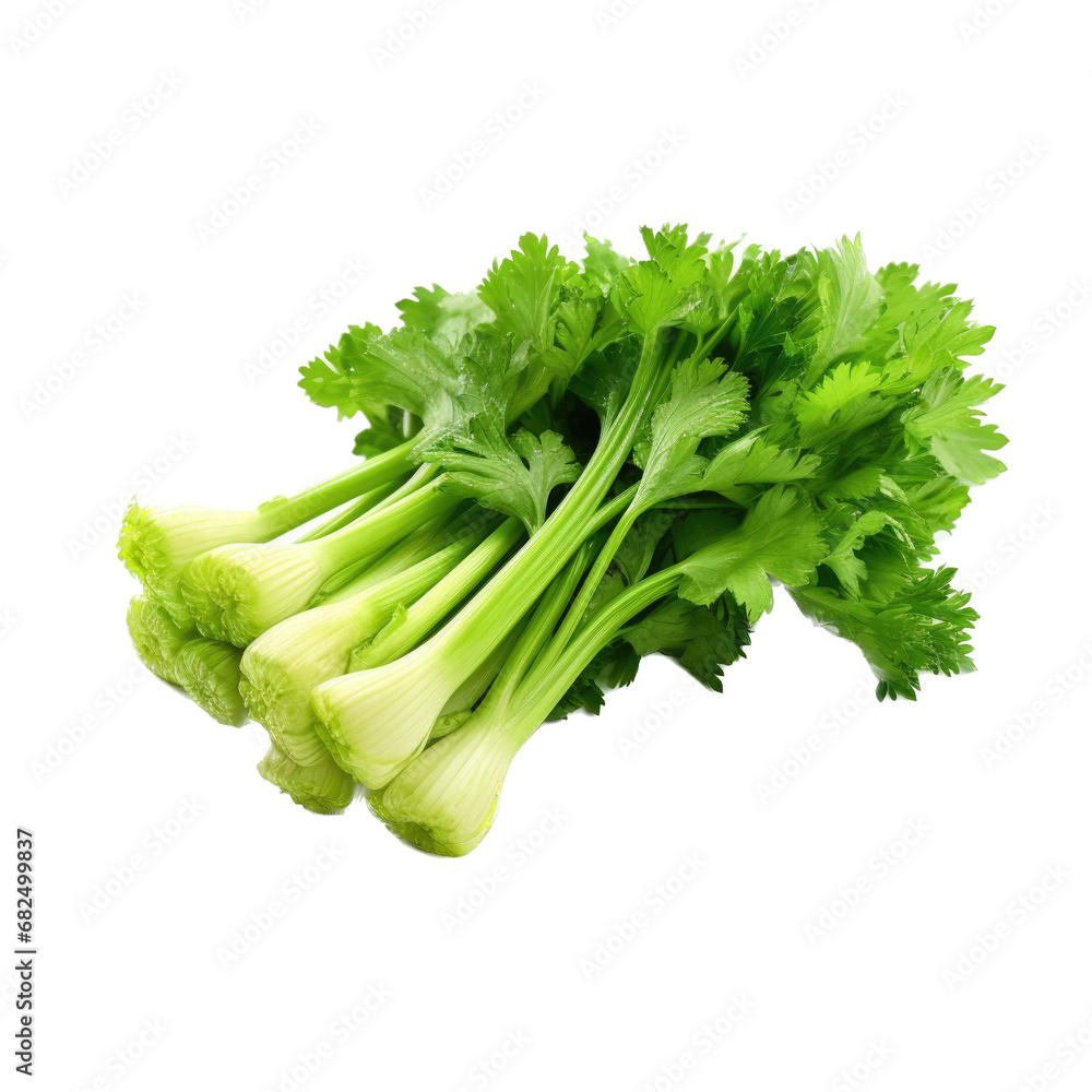 a bunch of celery in a 3/4 top view, PNG, in a Healthy vegetable snack
