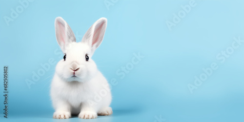 Cute Easter Bunny Pet Rabbit With Copy Space For Easter Background, Isolated White Bunny Background, Pastel Colors, Easter Celebration © blaize