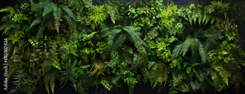 outdoor wall| green fern wall| indoor wall| lush outdoor wall art, aerial view, detailed, layered compositions