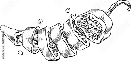 Hot pepper cut into rings. Monochrome cross-sectional drawing of a pepper. Food image for signs, menus, tableware printing and other purposes. Pepper seeds and pulp. For restaurants, grocery stores