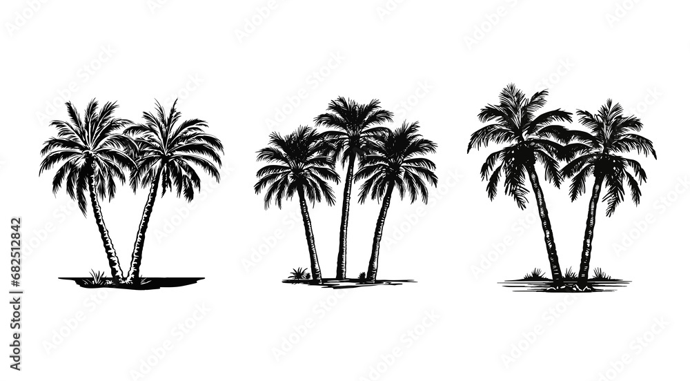 isolated palms trees ink illustration collection