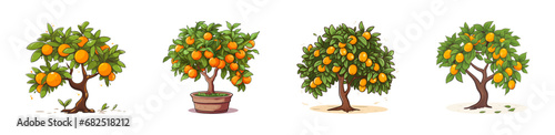 Kumquat tree set. Cartoon vector illustration