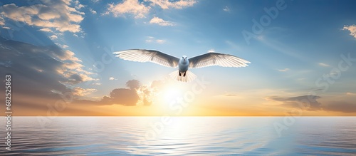 In the tranquil portrait of nature's concept, a white cloud meandering across the blue sky, the sun's golden rays reflect off the ocean, while a beautiful bird with pastel feathers finds freedom and