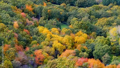 paisaje de colores de otoño arboleda campo