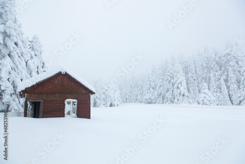 Mountain House in the Winter Season Photo, Golcuk Lake National Park Bolu, Turkiye (Turkey) © raul77