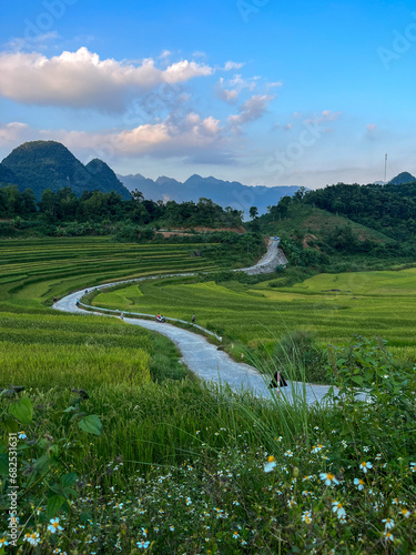 the rice fields of Pu Luong