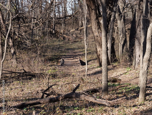 Kansas hiking trail in late Fall photo