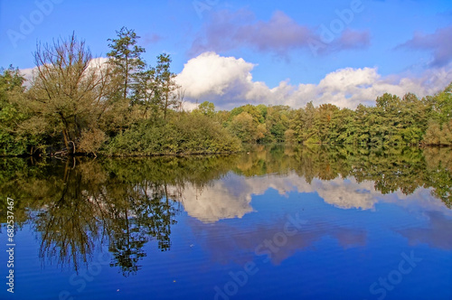 Bäume, Wolken und Himmel spiegeln sich in einem See Trees, clouds and sky are reflected in a lake