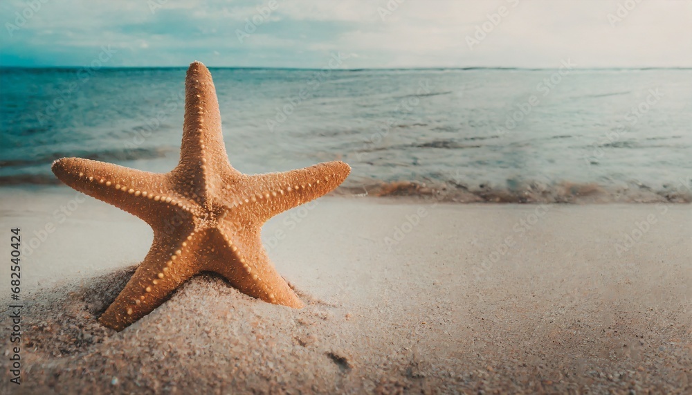 Starfish in the sand. Copy space, flatly. The concept of tourism and recreation Starfish in the sand. Copy space, flatly. The concept of tourism and recreation