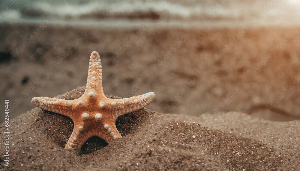 Starfish in the sand. Copy space, flatly. The concept of tourism and recreation Starfish in the sand. Copy space, flatly. The concept of tourism and recreation