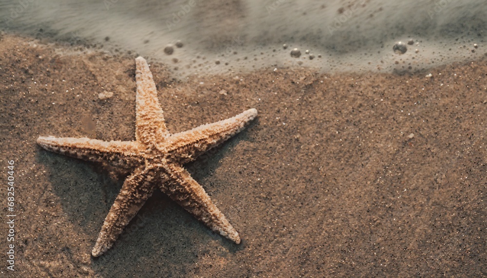 Starfish in the sand. Copy space, flatly. The concept of tourism and recreation Starfish in the sand. Copy space, flatly. The concept of tourism and recreation