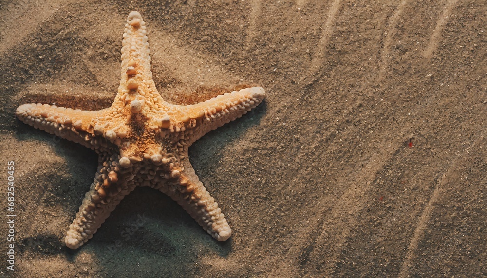 Starfish in the sand. Copy space, flatly. The concept of tourism and recreation Starfish in the sand. Copy space, flatly. The concept of tourism and recreation